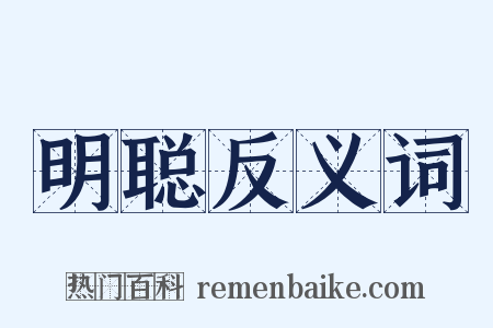 明聪反义词是什么意思的图片